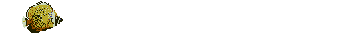 Anil0006.gif