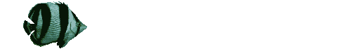 Anil0008.gif
