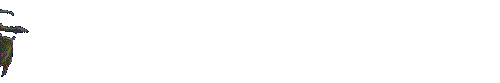 Anil0017.gif