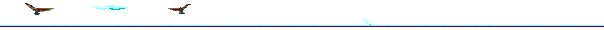 Anil0040.gif