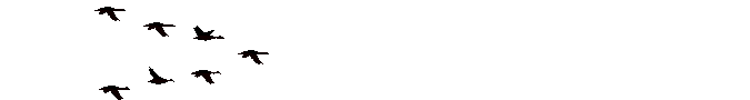 Anil0042.gif