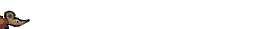 Anil0051.gif
