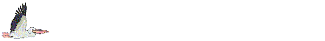 Anil0059.gif