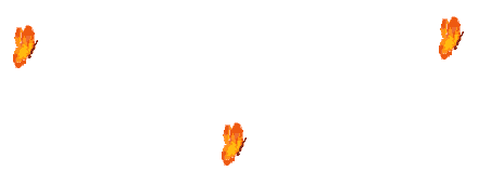 Anil0064.gif
