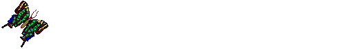 Anil0065.gif