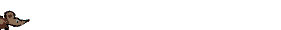 Anil0084.gif
