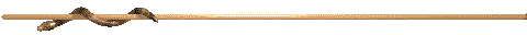 Anil0086.gif