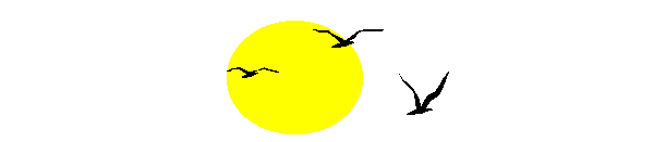 Anil0092.gif