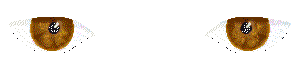 Anil0093.gif