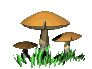 Comi0078.gif