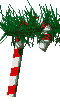 Dulc0038.gif