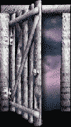 Cons0022.gif