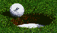 Depm0020.gif