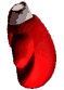 Depm0095.gif