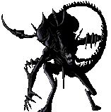 Alim0015.gif