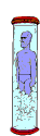 Alim0027.gif