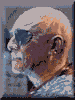 Stam0054.gif