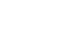 Fies0101.gif