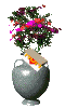 Fies0159.gif