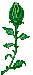 Plan0003.gif