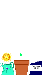 Plan0009.gif