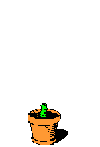 Plan0011.gif