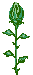Plan0015.gif