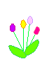 Plan0032.gif
