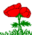 Plan0035.gif