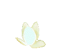 Plan0036.gif
