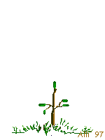 Plan0042.gif