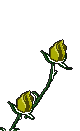 Plan0045.gif