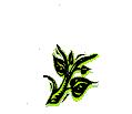 Plan0046.gif