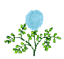 Plan0055.gif