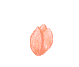 Plan0058.gif