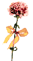 Plan0065.gif