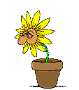 Plan0067.gif