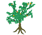 Plan0069.gif