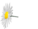 Plan0072.gif