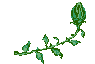 Plan0078.gif