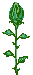 Plan0080.gif