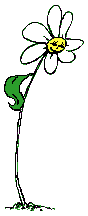 Plan0082.gif