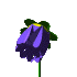 Plan0089.gif