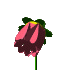 Plan0091.gif
