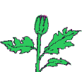 Plan0093.gif