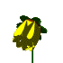 Plan0094.gif