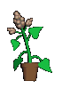 Plan0099.gif