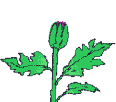 Plan0100.gif