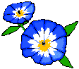 Plan0104.gif