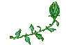 Plan0110.gif